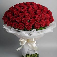 Букет 101 Красная роза Блэк Мэджик в Кадошкино