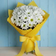 Букет цветов из:  Хризантемы в Кадошкино