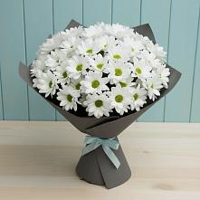 Букет цветов из:  Хризантемы в Кадошкино