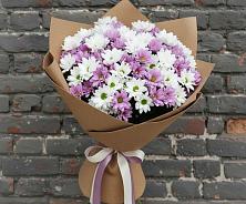 Букет цветов из:  Хризантемы в Кадошкино