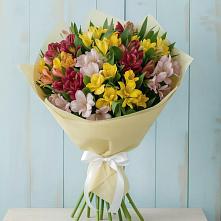 Букет цветов из:  Альстромерии в Кадошкино
