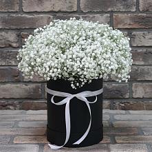 Цветочная композиция из Гипсофила в шляпной коробке в Кадошкино