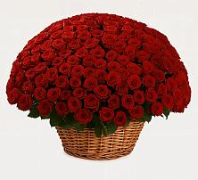 Премиум букет из: Розы в Кадошкино