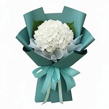Букет цветов из:  Гортензия в Кадошкино